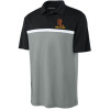 Forest Lake Wrestling Colorblock Polo '25